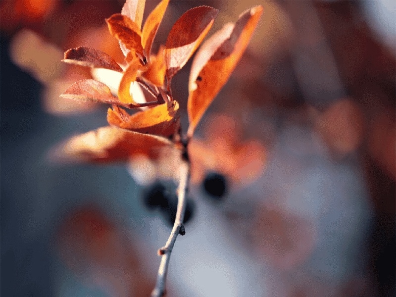 男性检查不孕费用（只能试管的病）